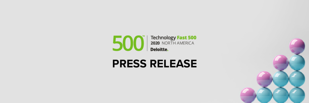Deloitte 500 - 2020 logo