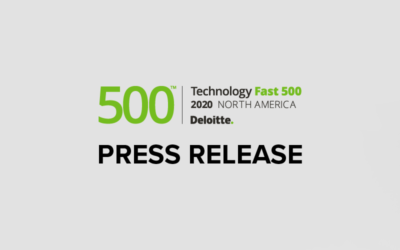 Deloitte 500 - 2020 logo