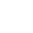 The Ontology
